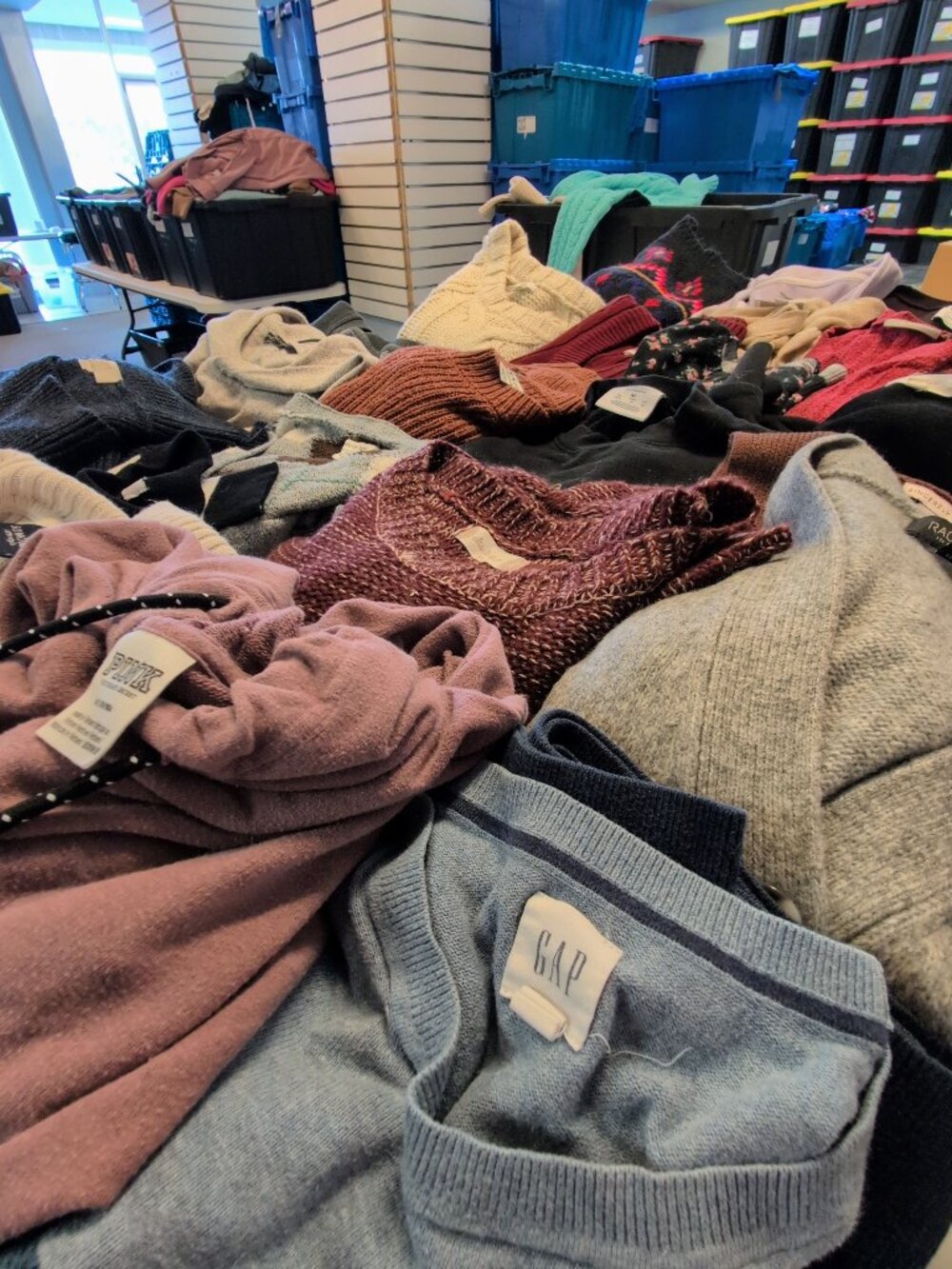 💰 10‎ Women’s Sweaters & Hoodies Mystery Box | $300+ Retail Value